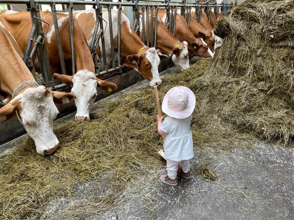 Ferienparadies Taxen Sankt Veit im Pongau Exterior foto
