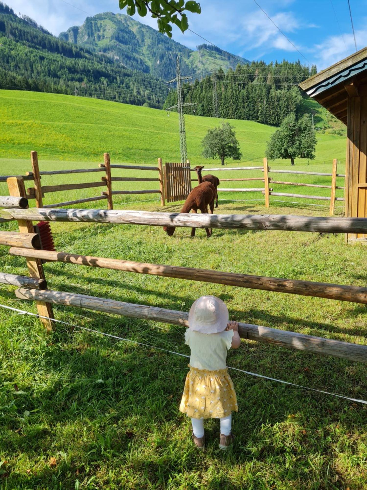 Ferienparadies Taxen Sankt Veit im Pongau Exterior foto