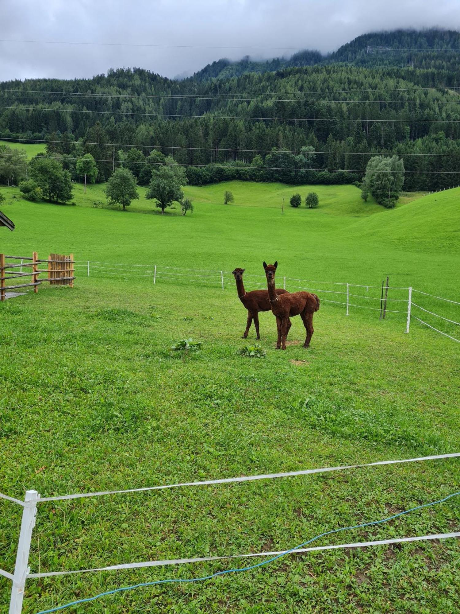 Ferienparadies Taxen Sankt Veit im Pongau Exterior foto