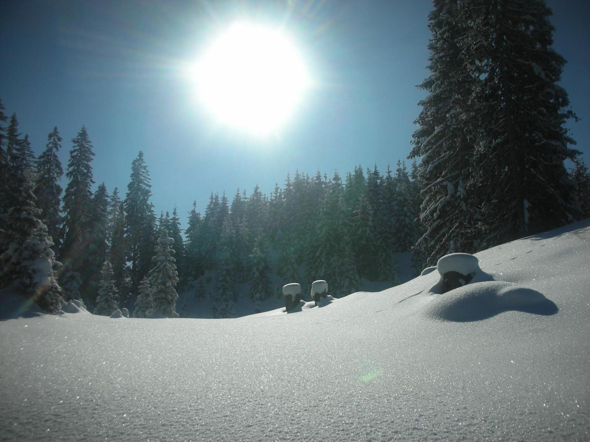 Ferienparadies Taxen Sankt Veit im Pongau Exterior foto