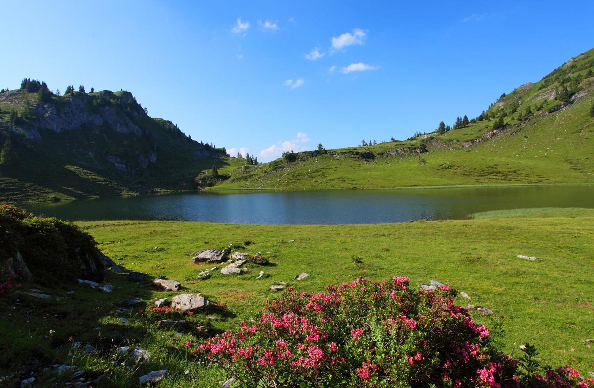 Ferienparadies Taxen Sankt Veit im Pongau Exterior foto