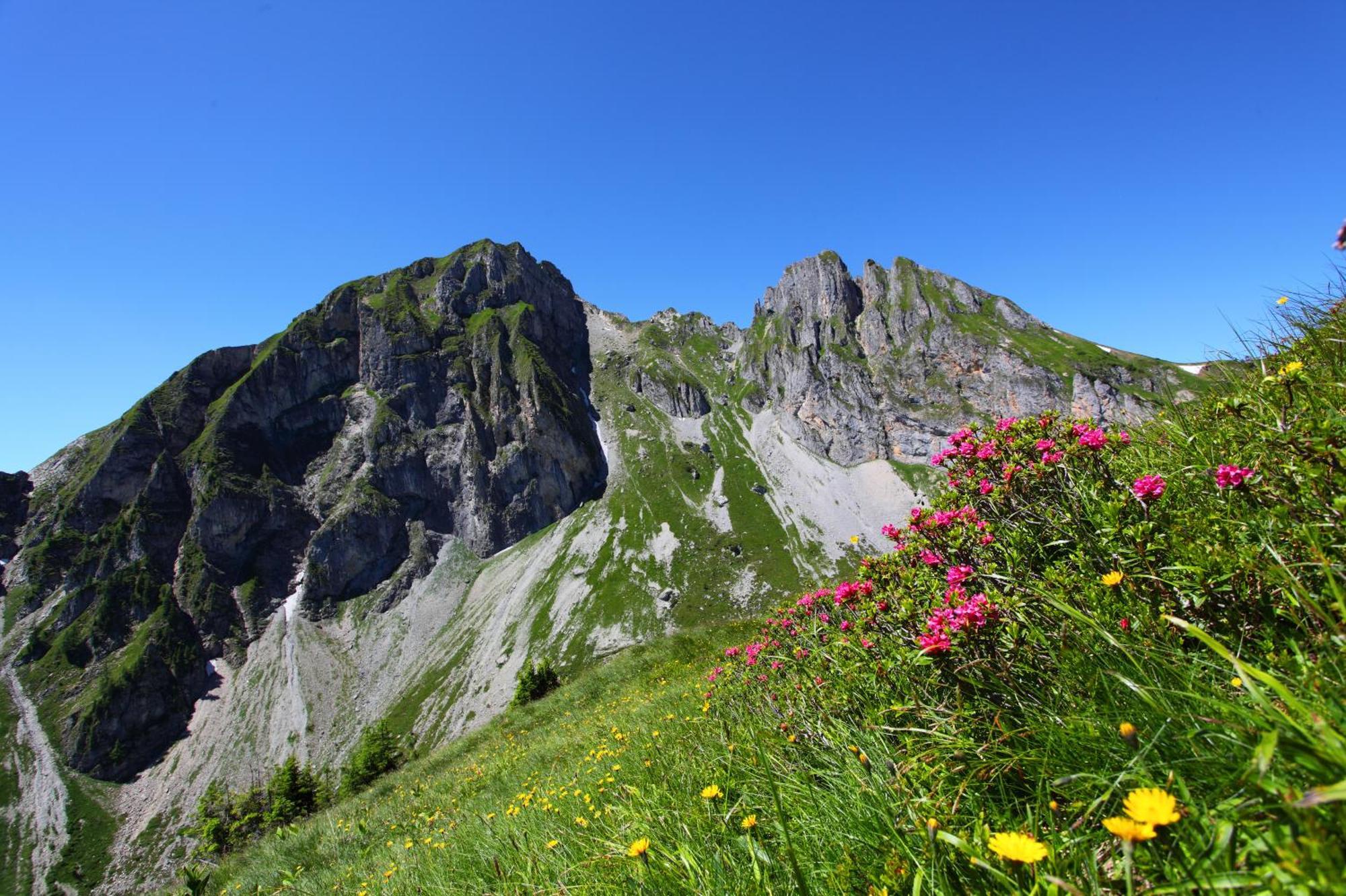 Ferienparadies Taxen Sankt Veit im Pongau Exterior foto