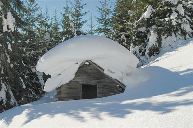 Ferienparadies Taxen Sankt Veit im Pongau Exterior foto